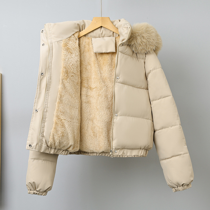 ฤดูหนาวสั้น Parkas ผู้หญิงผ้าฝ - Wool Coat Peacoat บทวิจารณ์และราคา