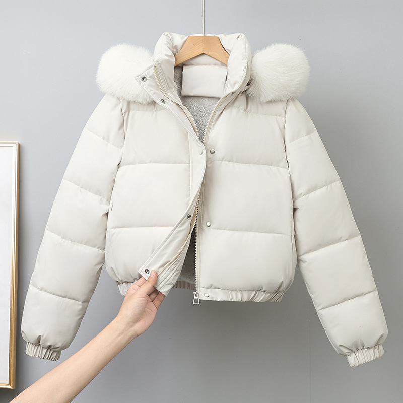 ฤดูหนาวสั้น Parkas ผู้หญิงผ้าฝ - Wool Coat Peacoat บทวิจารณ์และราคา